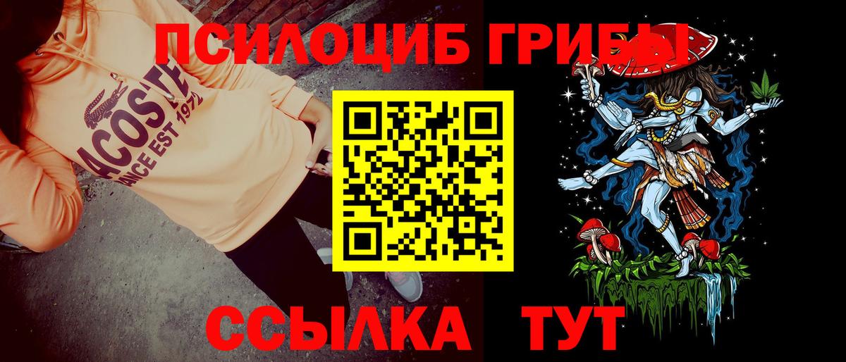 Сарапул  магазин продажи наркотиков  Вход с VPN  Псилоцибиновые грибы прущие грибы 